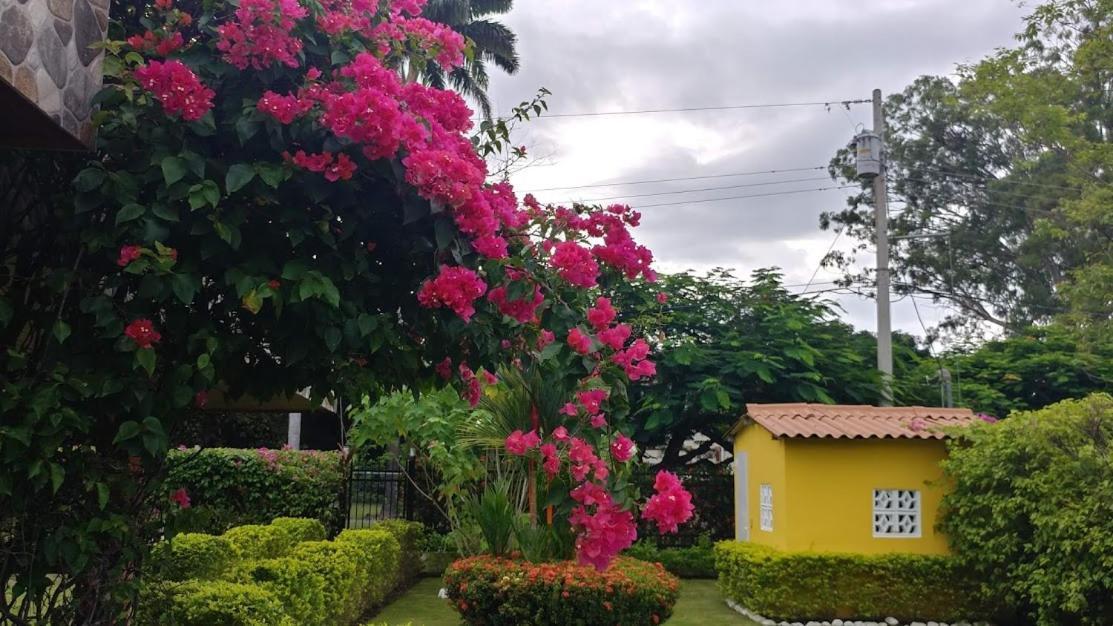 Casa De Los Suenos B&B Coronado Panama Playa Coronado Buitenkant foto