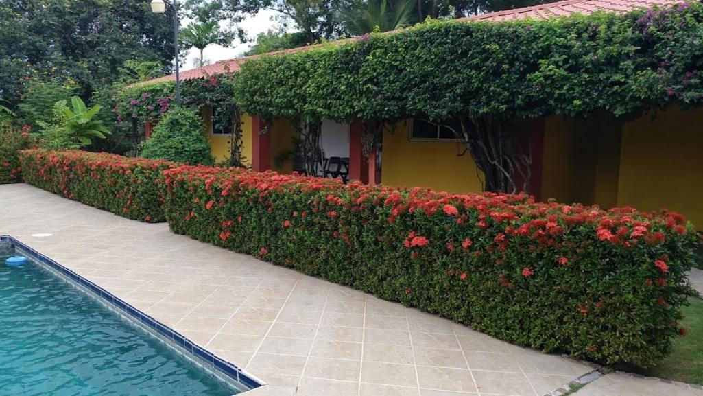 Casa De Los Suenos B&B Coronado Panama Playa Coronado Buitenkant foto